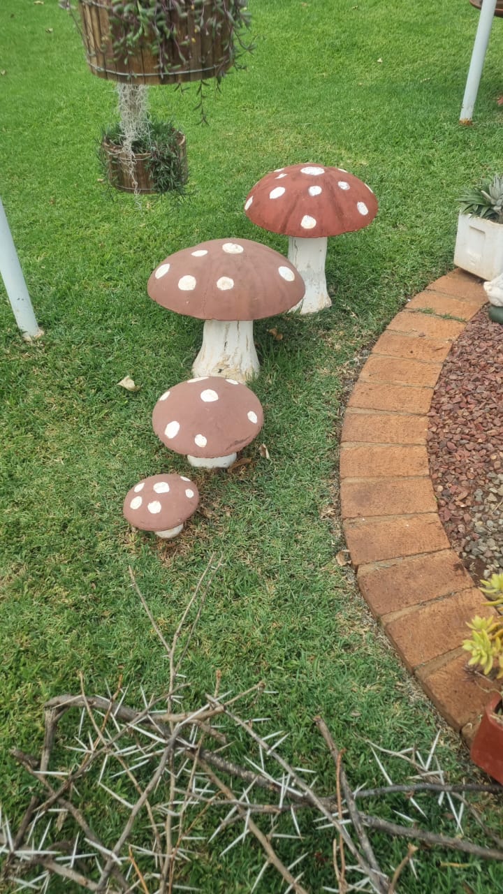Decorative Mushrooms
